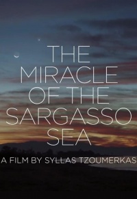 The Miracle of the Sargasso Sea (2019)