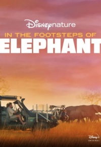Sur la route des éléphants (2020)